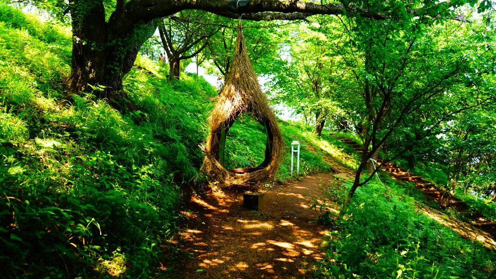 ACAO FOREST】相模湾とローズに囲まれた、フォトジェニックなガーデン